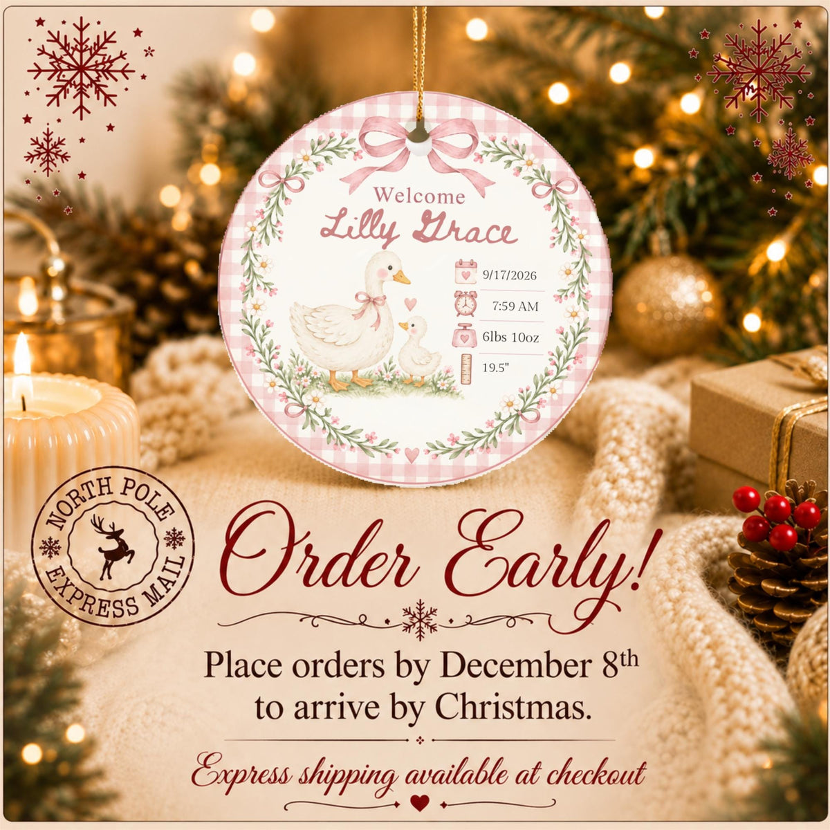 Personalized Birth Stats Ornament, Baby's First Christmas 2026 Keepsake, Silly Goose Nursery Newborn Gift, Welcome Baby Ornament