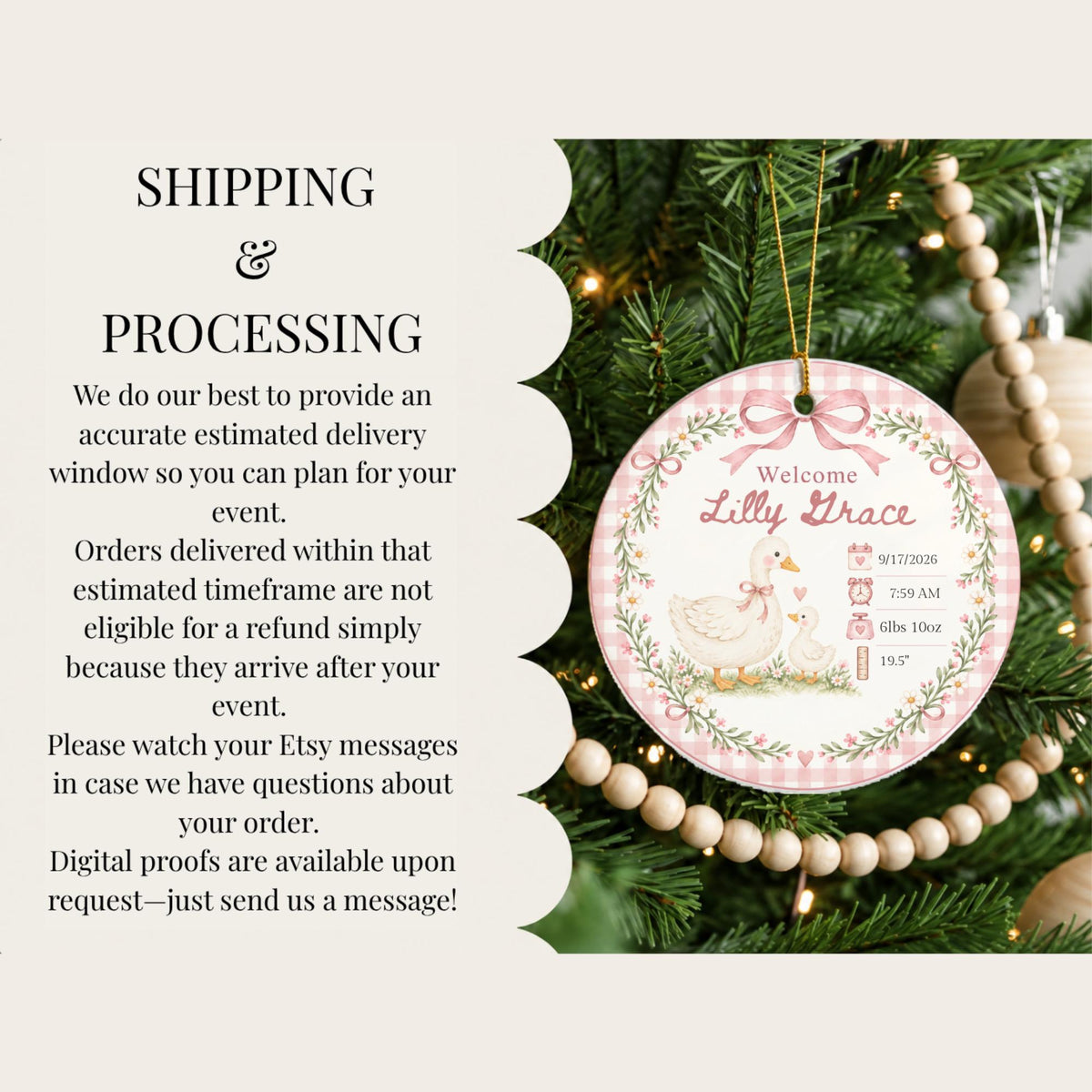 Personalized Birth Stats Ornament, Baby's First Christmas 2026 Keepsake, Silly Goose Nursery Newborn Gift, Welcome Baby Ornament