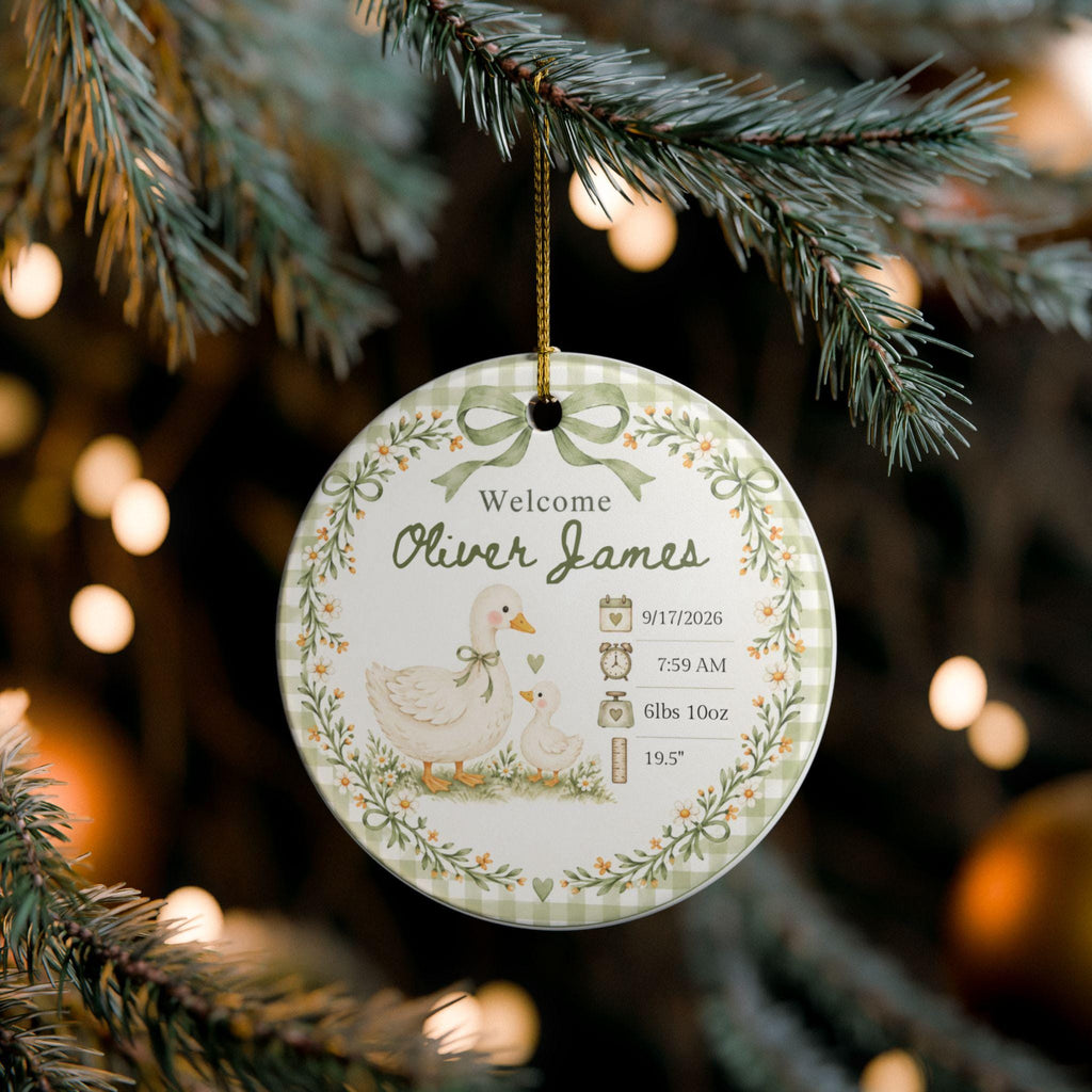 Personalized Birth Stats Ornament, Baby's First Christmas 2026 Keepsake, Silly Goose Nursery Newborn Gift, Welcome Baby Ornament