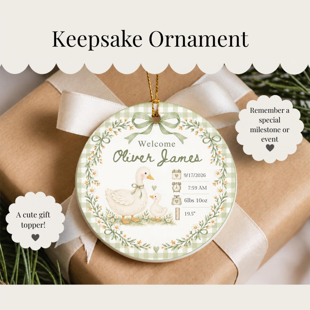 Birth Stats Ornament, Personalized Baby First Christmas Keepsake, Sage Green Silly Goose, Newborn Gift, Birth Announcement, Nursery Decor