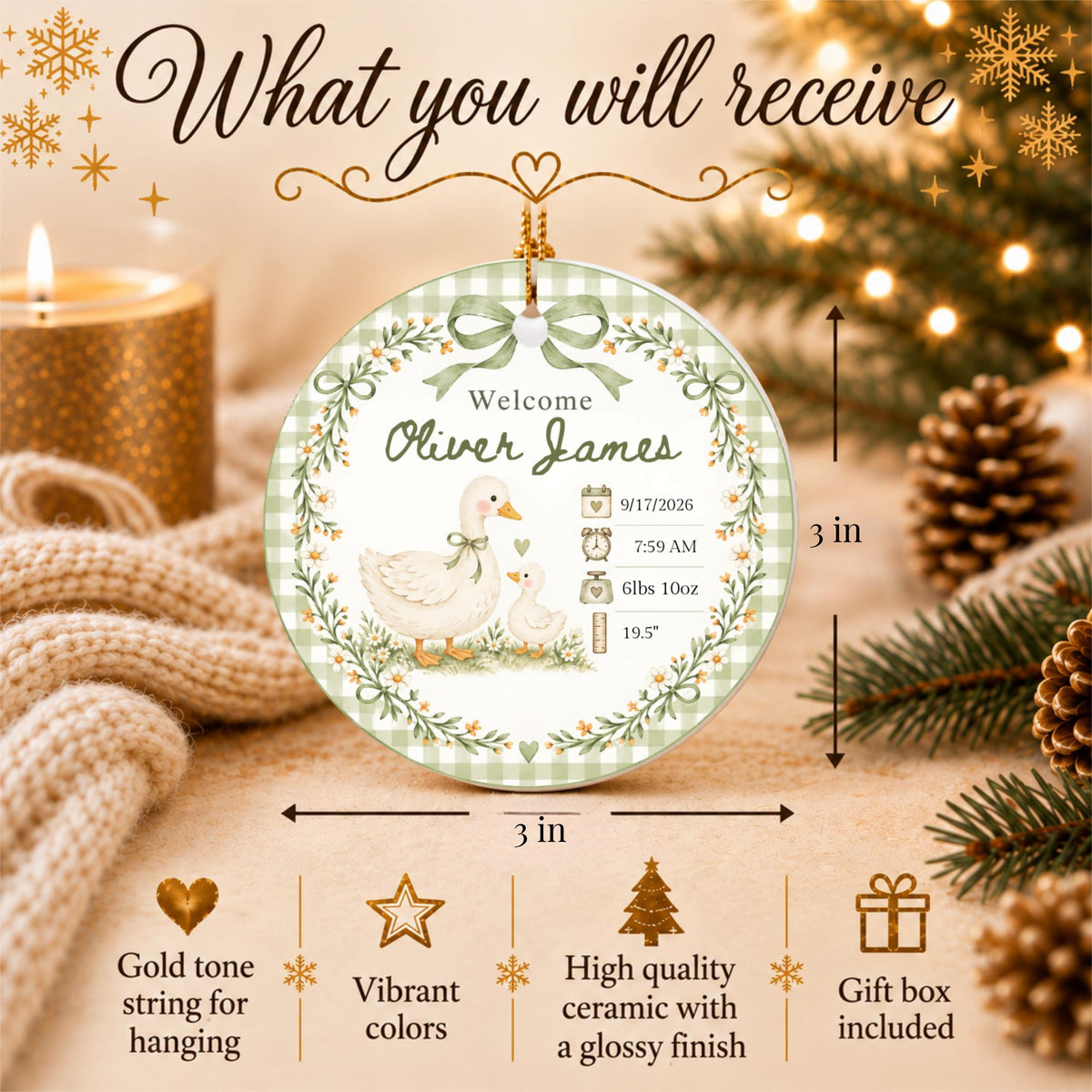 Birth Stats Ornament, Personalized Baby First Christmas Keepsake, Sage Green Silly Goose, Newborn Gift, Birth Announcement, Nursery Decor