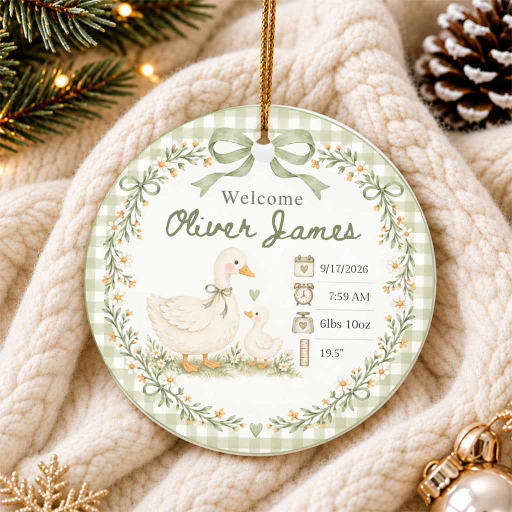 Birth Stats Ornament, Personalized Baby First Christmas Keepsake, Sage Green Silly Goose, Newborn Gift, Birth Announcement, Nursery Decor