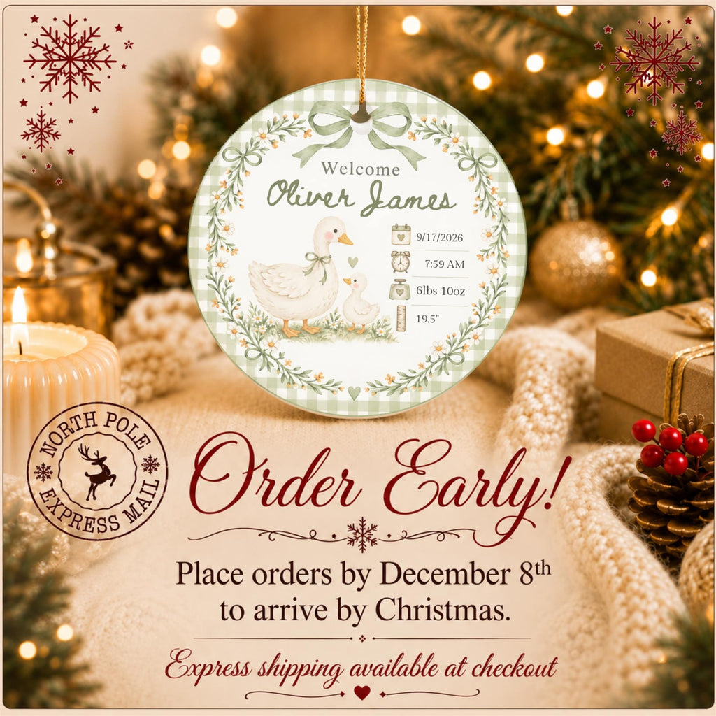 Birth Stats Ornament, Personalized Baby First Christmas Keepsake, Sage Green Silly Goose, Newborn Gift, Birth Announcement, Nursery Decor