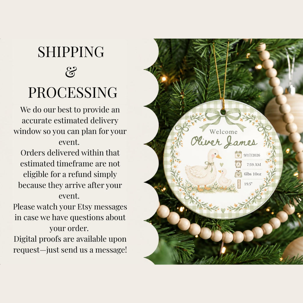 Birth Stats Ornament, Personalized Baby First Christmas Keepsake, Sage Green Silly Goose, Newborn Gift, Birth Announcement, Nursery Decor
