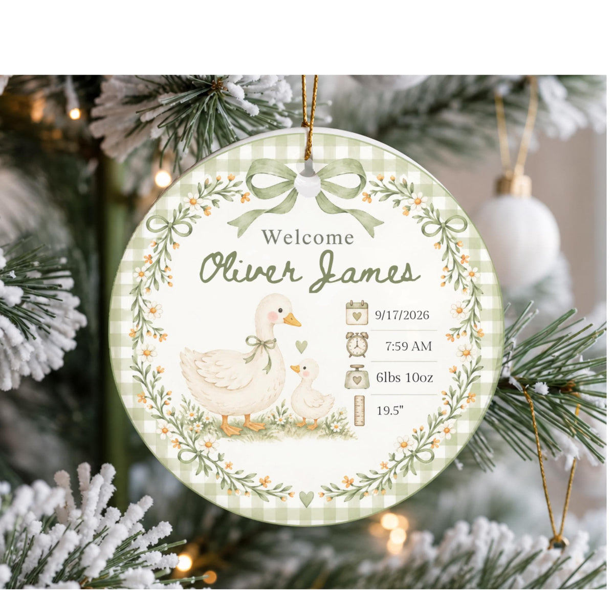 Birth Stats Ornament, Personalized Baby First Christmas Keepsake, Sage Green Silly Goose, Newborn Gift, Birth Announcement, Nursery Decor