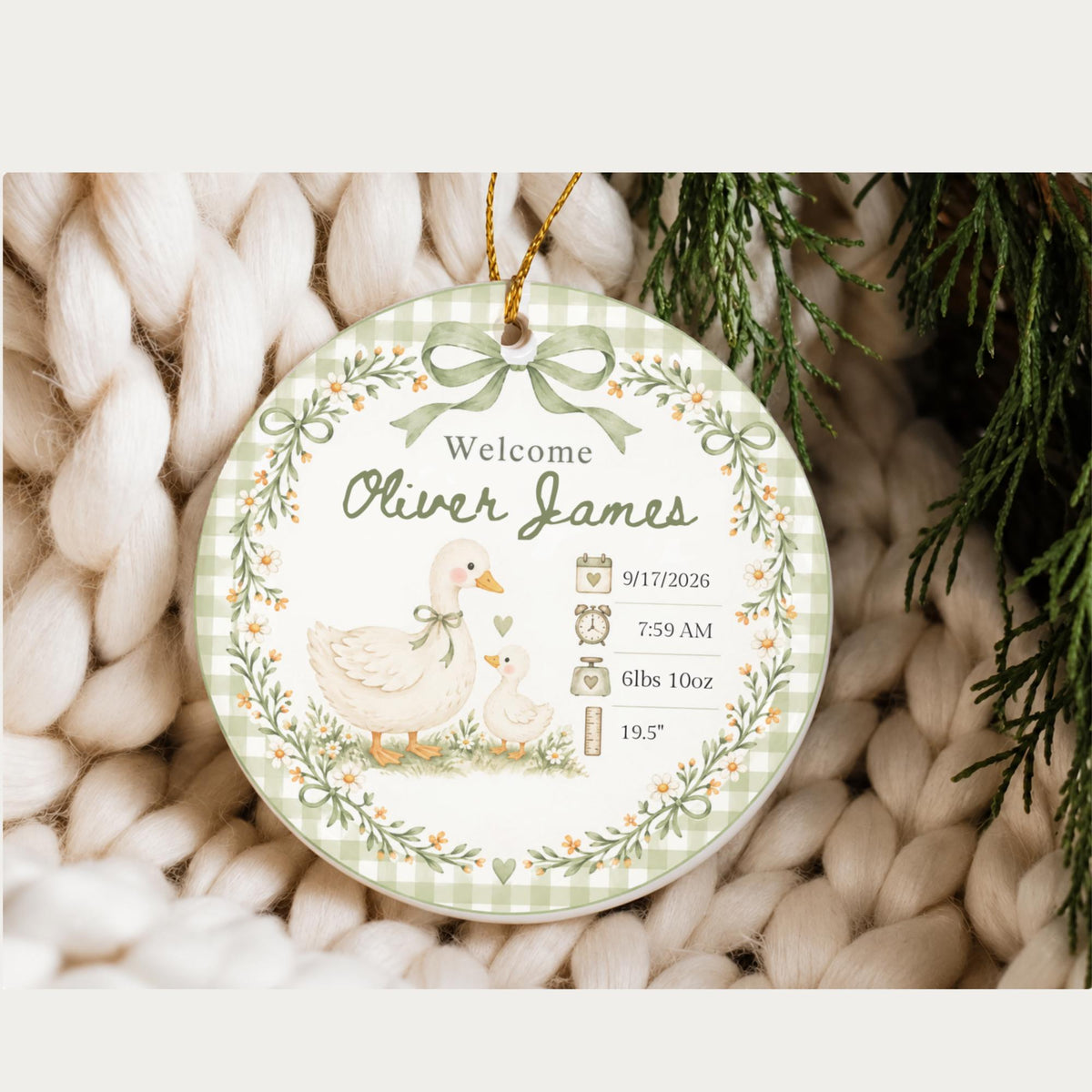 Birth Stats Ornament, Personalized Baby First Christmas Keepsake, Sage Green Silly Goose, Newborn Gift, Birth Announcement, Nursery Decor