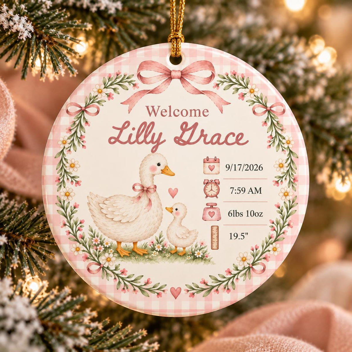 Personalized Birth Stats Ornament, Baby's First Christmas 2026 Keepsake, Silly Goose Nursery Newborn Gift, Welcome Baby Ornament