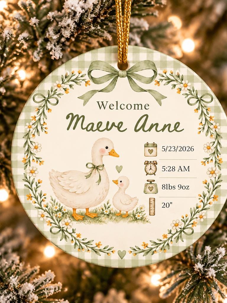 Birth Stats Ornament, Personalized Baby First Christmas Keepsake, Sage Green Silly Goose, Newborn Gift, Birth Announcement, Nursery Decor