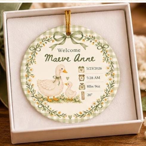 Birth Stats Ornament, Personalized Baby First Christmas Keepsake, Sage Green Silly Goose, Newborn Gift, Birth Announcement, Nursery Decor