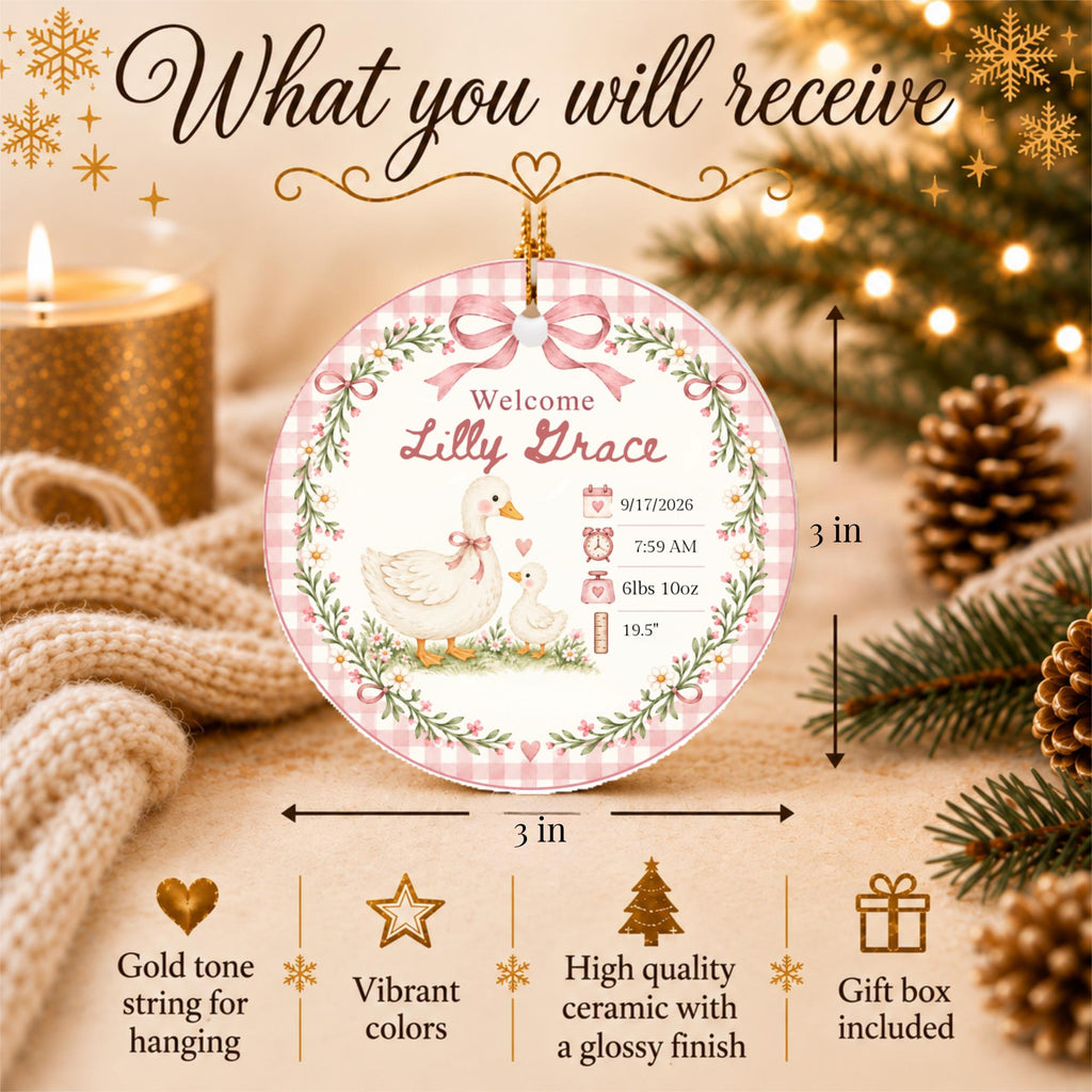 Personalized Birth Stats Ornament, Baby's First Christmas 2026 Keepsake, Silly Goose Nursery Newborn Gift, Welcome Baby Ornament