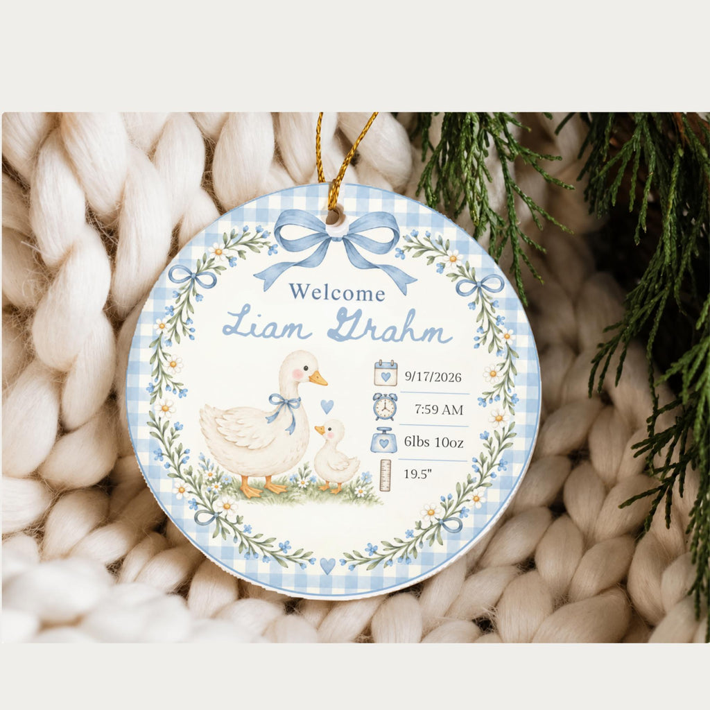 Personalized Birth Stats Ornament, Baby's First Christmas 2026 Keepsake, Silly Goose Nursery Newborn Gift, Welcome Baby Ornament