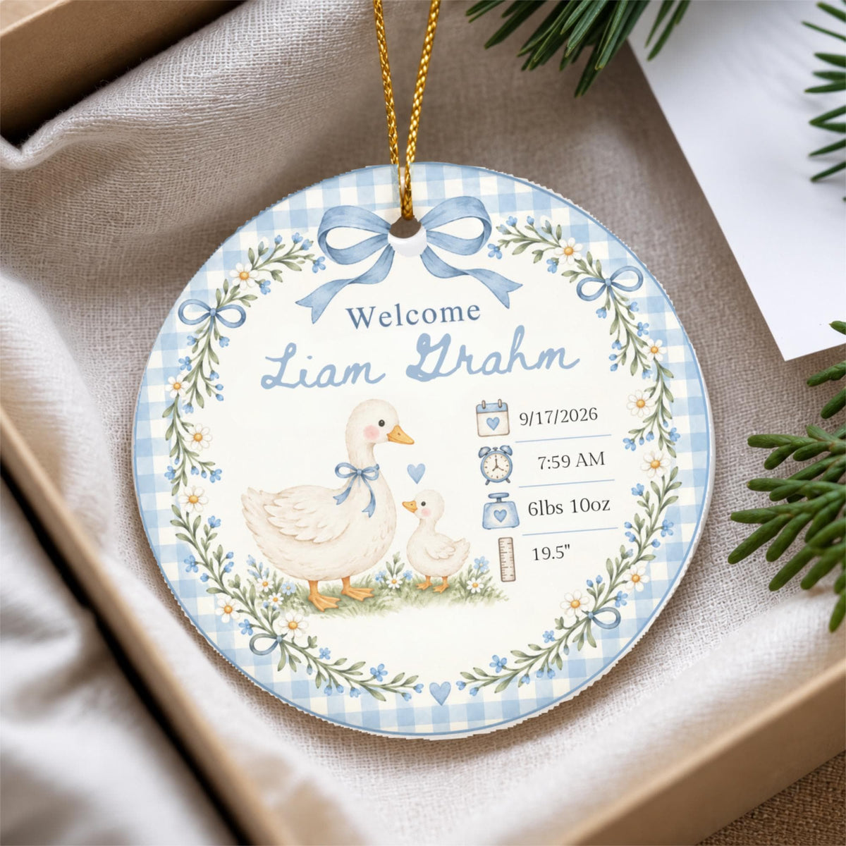 Personalized Birth Stats Ornament, Baby's First Christmas 2026 Keepsake, Silly Goose Nursery Newborn Gift, Welcome Baby Ornament