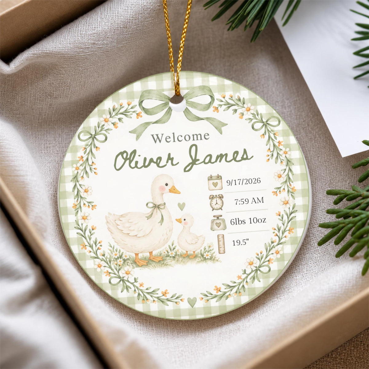 Birth Stats Ornament, Personalized Baby First Christmas Keepsake, Sage Green Silly Goose, Newborn Gift, Birth Announcement, Nursery Decor