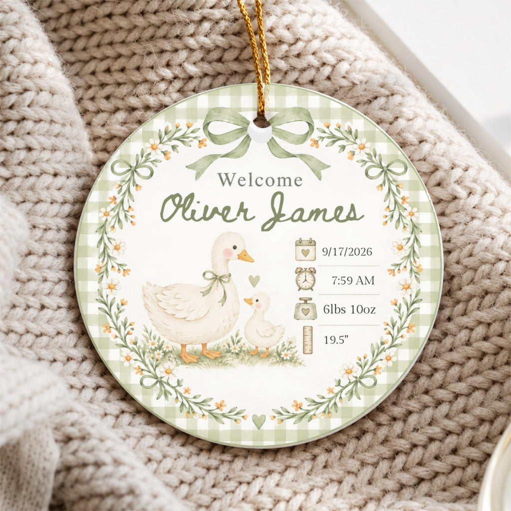Birth Stats Ornament, Personalized Baby First Christmas Keepsake, Sage Green Silly Goose, Newborn Gift, Birth Announcement, Nursery Decor