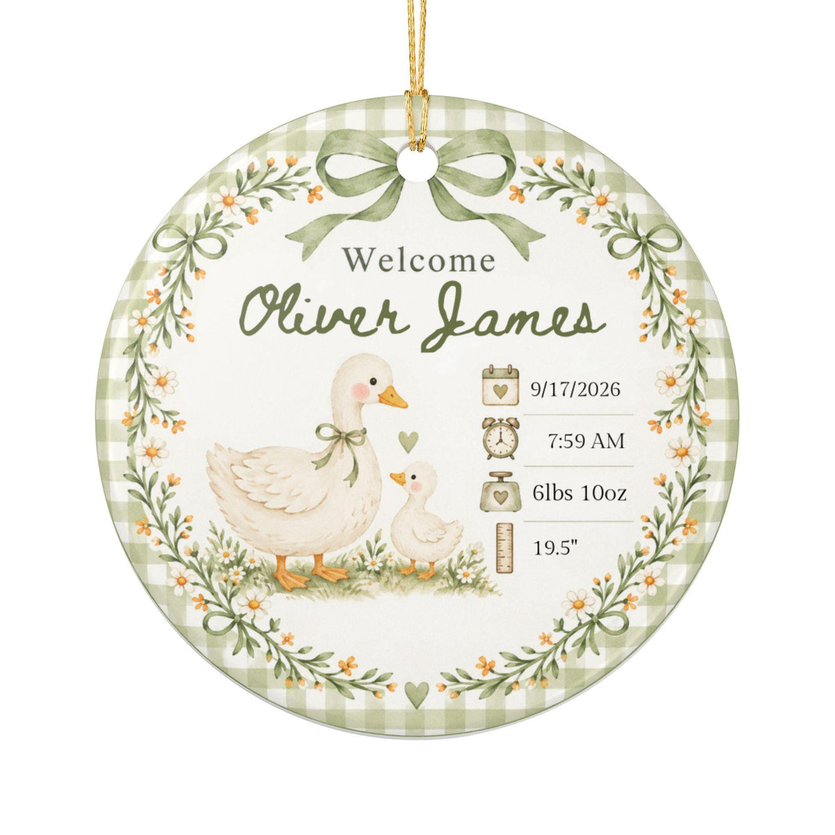 Birth Stats Ornament, Personalized Baby First Christmas Keepsake, Sage Green Silly Goose, Newborn Gift, Birth Announcement, Nursery Decor