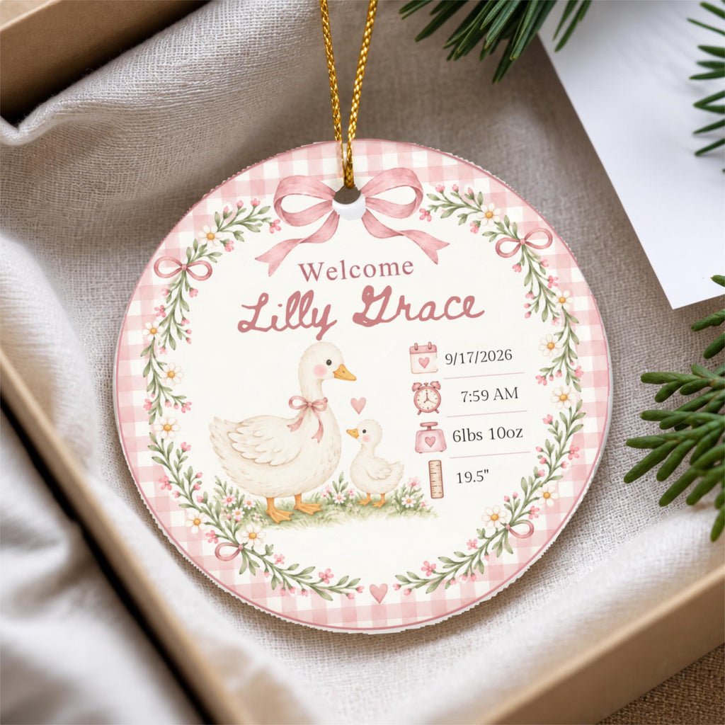 Birth Stats Ornament, Personalized Baby First Christmas Keepsake, Sage Green Silly Goose, Newborn Gift, Birth Announcement, Nursery Decor