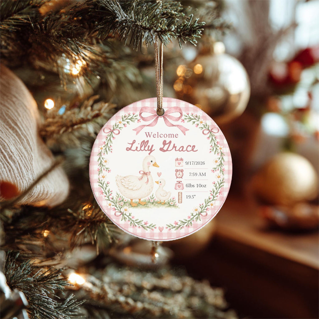 Personalized Birth Stats Ornament, Baby's First Christmas 2026 Keepsake, Silly Goose Nursery Newborn Gift, Welcome Baby Ornament