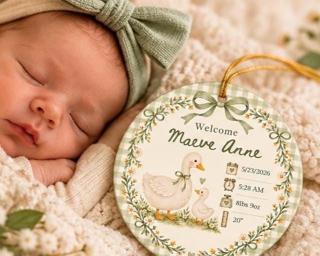 Birth Stats Ornament, Personalized Baby First Christmas Keepsake, Sage Green Silly Goose, Newborn Gift, Birth Announcement, Nursery Decor